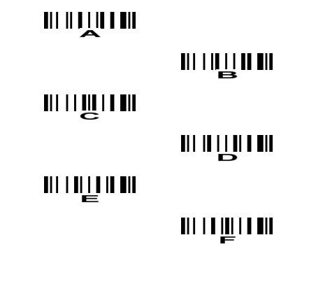 字母条码