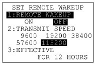 Remote Wakeup
