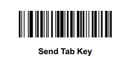 Send Tab Key