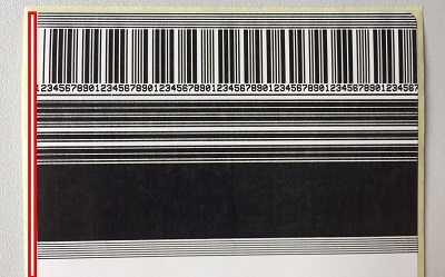zebraӡݲҳ